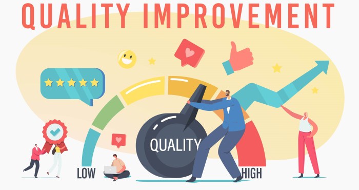 Importance Of Quality Improvement at Thomas Castro blog